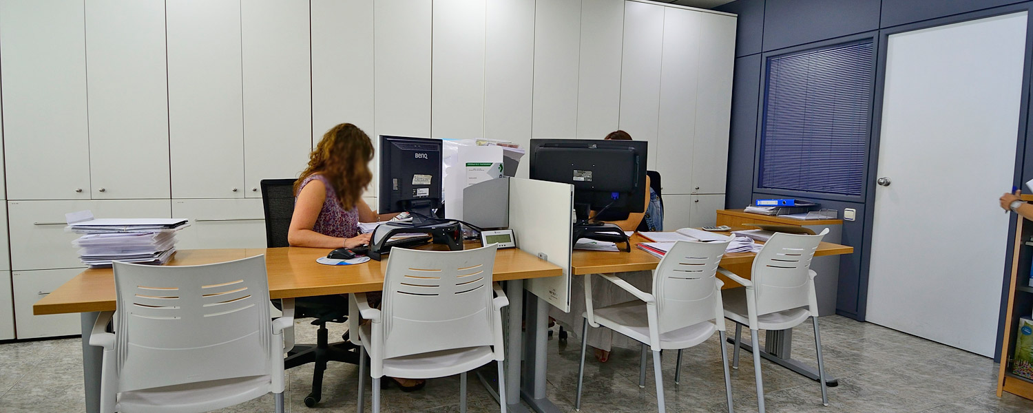 Especialistas en Emprendedores